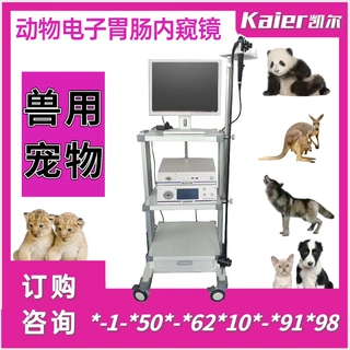 国产兽用视频内窥镜 猫狗胃镜肠镜宠物胃肠镜 犬猫肠胃内窥镜检查