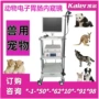 国产视频猫狗兽用胃肠镜