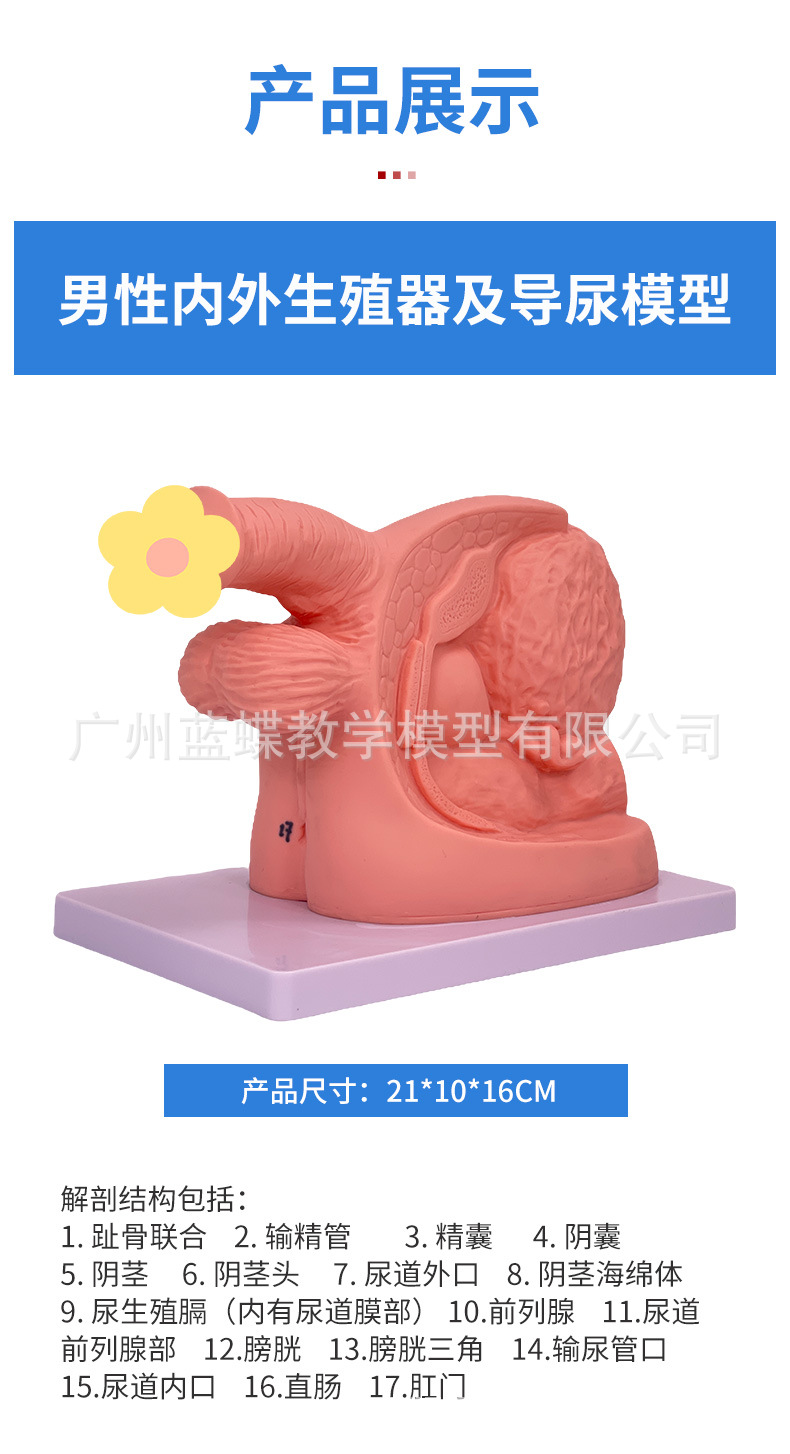 详情_06