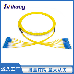 2/4/6/8/12/16/24 Core Single Mode Fc/Sc/Lc/St Bundled Branch Type Fiber Optic Jumper Fiber Optic Tail Cable