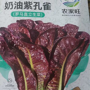 �����Ͽ�ȸ�˷N���ļ���������ϼt������ȸ���_�R������