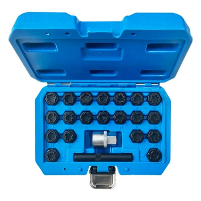 21-Piece Audi Anti-Theft Screw Mühərrik tənzimləmə alətləri - 22-piece-set-of-audi-anti-theft-screws