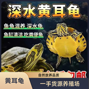 �S����ˮ��������ؔ�����~���坍���B������ˮ�������Z�^�p������