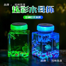 发光金鱼乌龟网盒带红夜光鱼缸缸摆摊灯斗鱼光带宠物盖运输瓶盒水