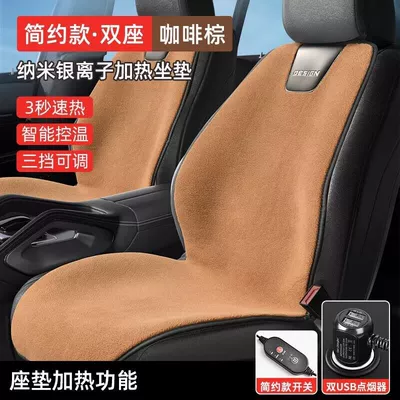 plush cushion 12V24V, Multi-function pad - brown-two-seats-heating-12v-timing