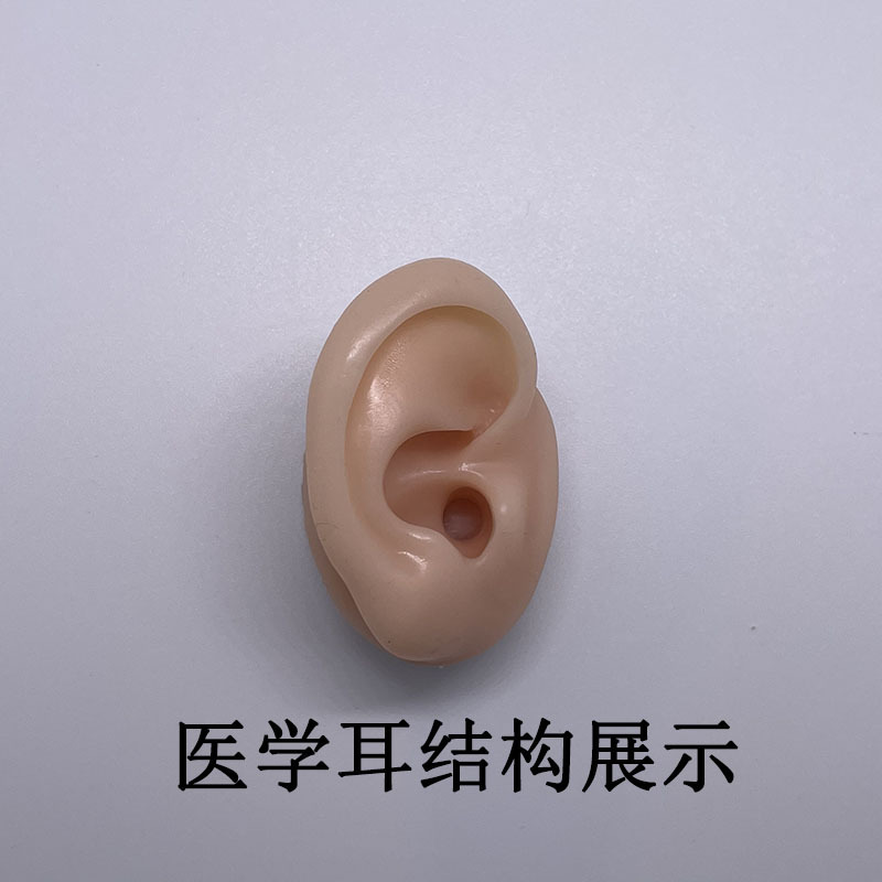 Falso modelo de oído de silicona suave simulación de oído humano espárrago del auricular accesorios médicos enseñanza pantalla ventas directas de la fábrica