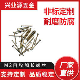 M2*25PA圆头加硬螺丝 2*23PA盘头自攻螺丝钉十字沉头橱柜家具通用