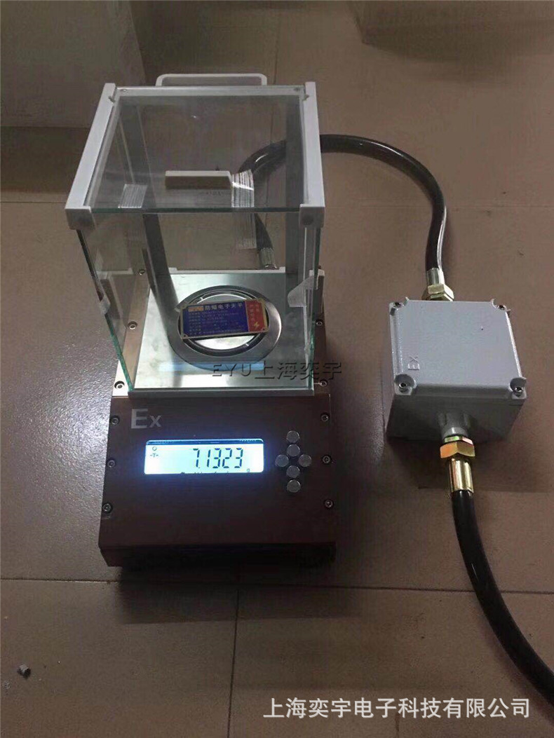 防爆电子秤