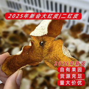������Ƥ2025����Ƥ���R��tƤ�Ƥ���tƤ���й��@�Ƥ�S��