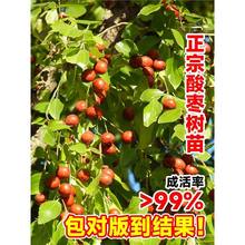 ᗗ箔YᗗϷNֲͥԺԸ߮a