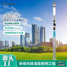 led智慧灯杆一体化多功能5G智慧城市照明建设市政道路灯杆厂家