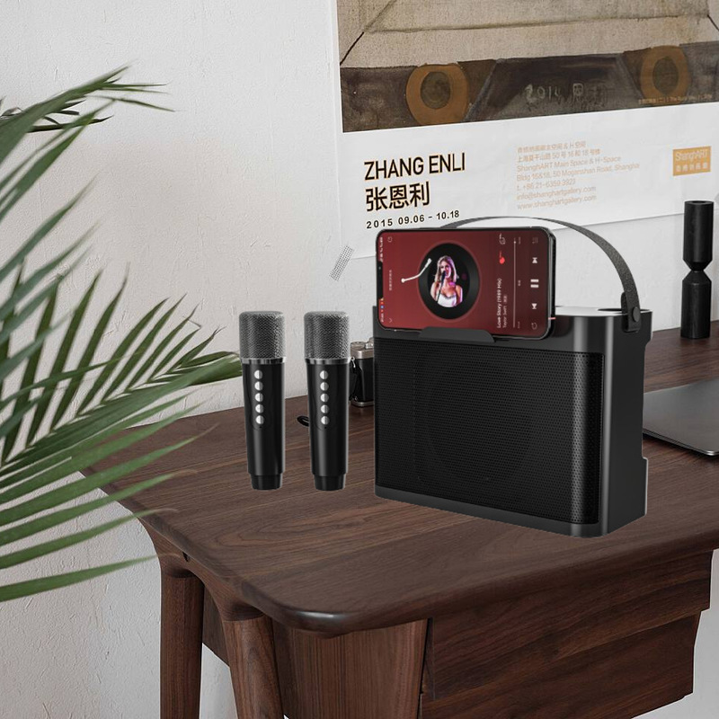Ys219 Home Theater Ktv Portable Bluetooth Karaoke Speaker with Microphone Wireless Karaoke Device Ys210