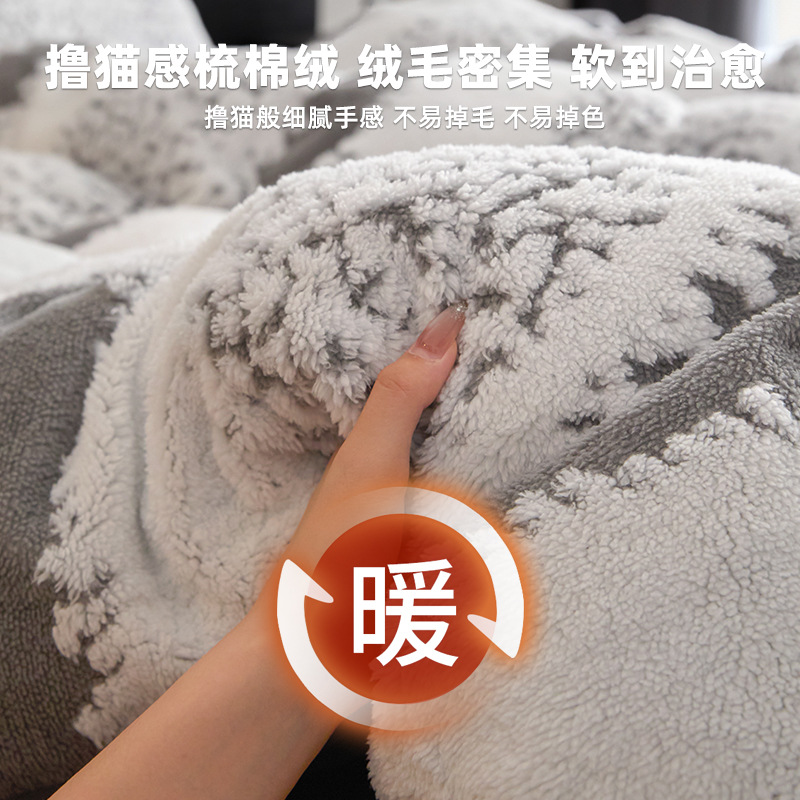 Otoño y invierno leche de lana de cuatro piezas set de ropa de cama de franela sábanas de lana de coral más edredón set de dormitorio de tres piezas