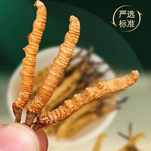 ���x�ĲݬF؛������Ʒ�x�ݶY�а��bľ��������������l�����x��