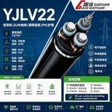 铠装3芯2*2.5/4/6/10/16护套线WDZ-YJLV22铝芯低压电力电缆线充电