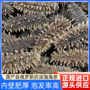 ���_˹�M�ڴ�t��100�����Ŵ̵��ɺ�������Bֳ�������l��S