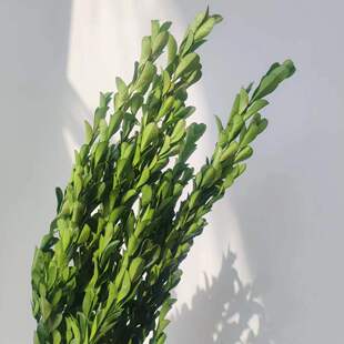 ������С�~�S���Ϲ��Sֱ���ɻ��Y��DIY�ֹ��������h�Gֲ����