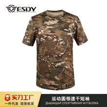 ESDY�ļ���ʿ���e�\�ӈA�I�ٸɶ���T�������ܲ���ɽ�T��͸���Բ�