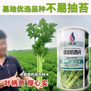 �G�������۷N�Ӵ�G���۲˷N���ļ��߲����Դ����ﲥ�N�S�a���|