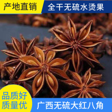 新货广西全干大红八角全干产地货源批发足干瓣大料调料商用优选