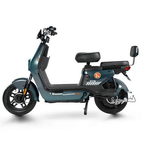 electric electric car for adults