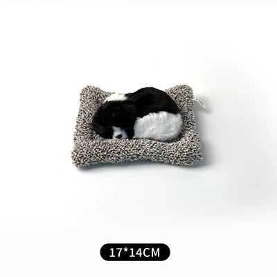 Car ornaments Decoration Car Interior Accessory Cat - can-call-money-small-border-collie