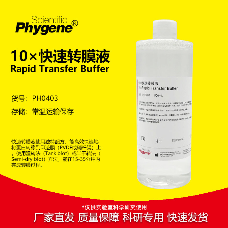 10×快速转膜液 Rapid Transfer Buffer 500mL PH0403 PHYGENE