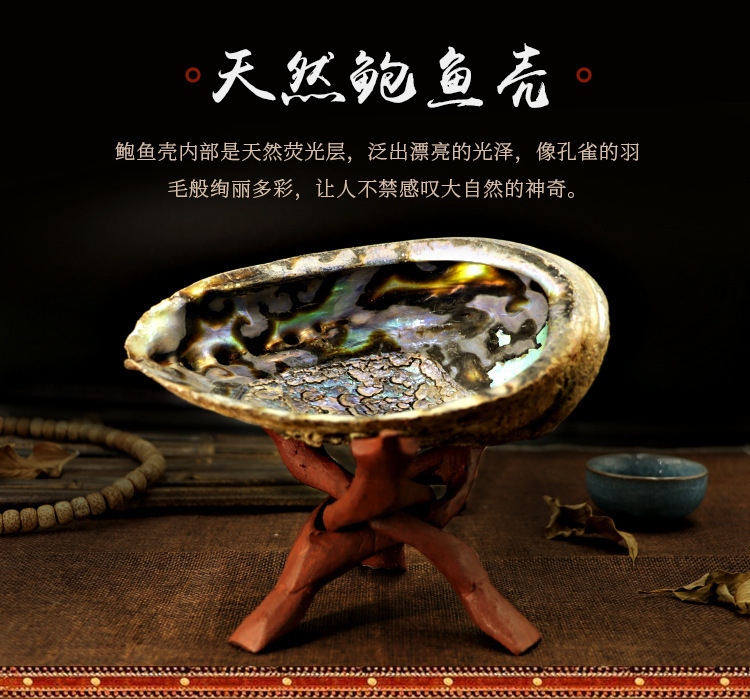 现货 Wicca白鼠尾草烟熏配件贝壳+圣木支架 祭坛仪式用品 图 4