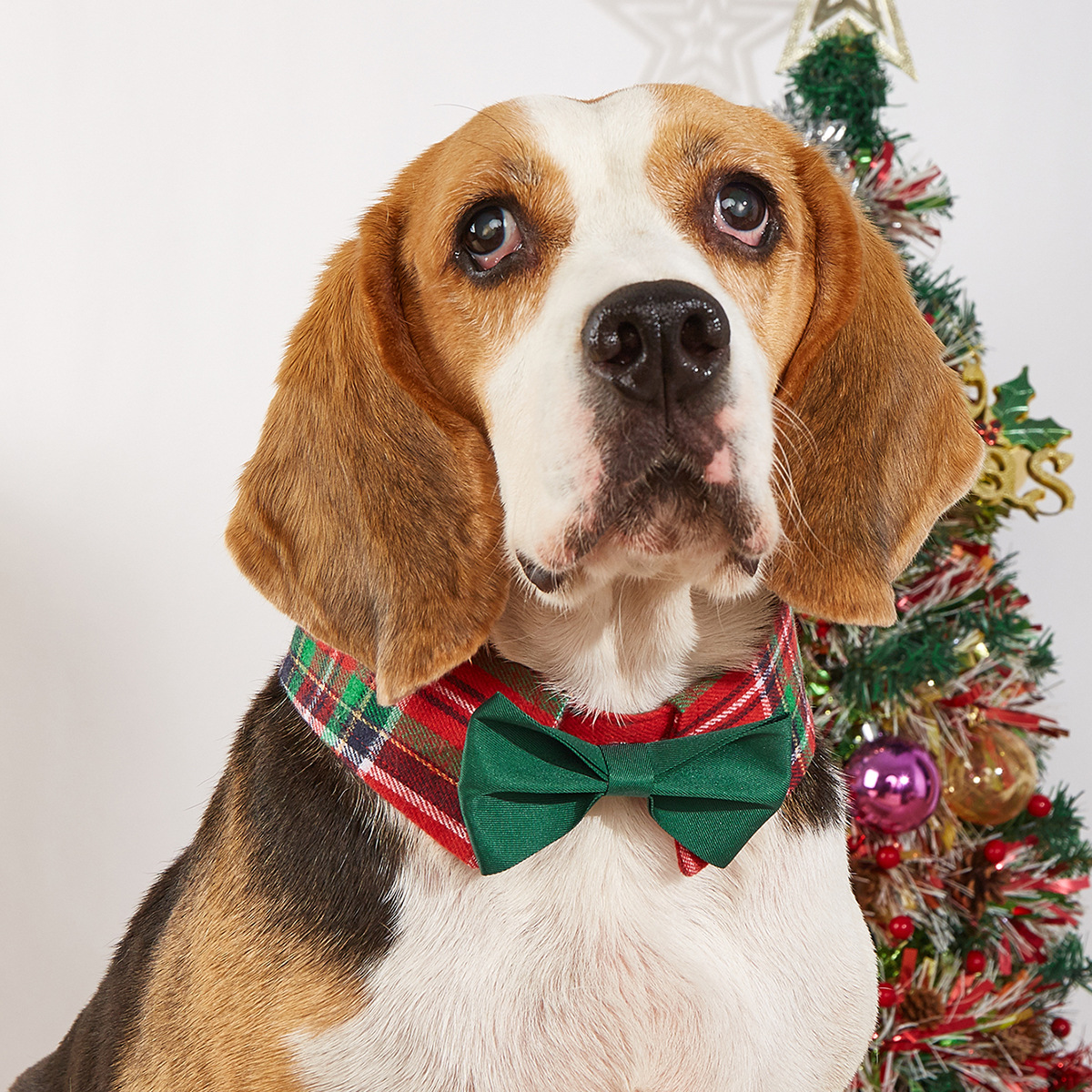 Fabricantes de nuevos productos transfronterizos en stock de rejilla de Navidad corbata de mascotas velcro ajustable accesorios de mascotas arco