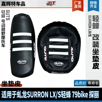 for QiuLong Light Bee: Motorcycle cushion