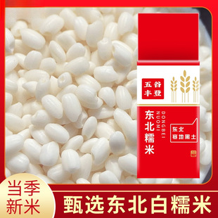 ����׿��5kg��Ŵ�����潭��������׽�A��Ŵ��