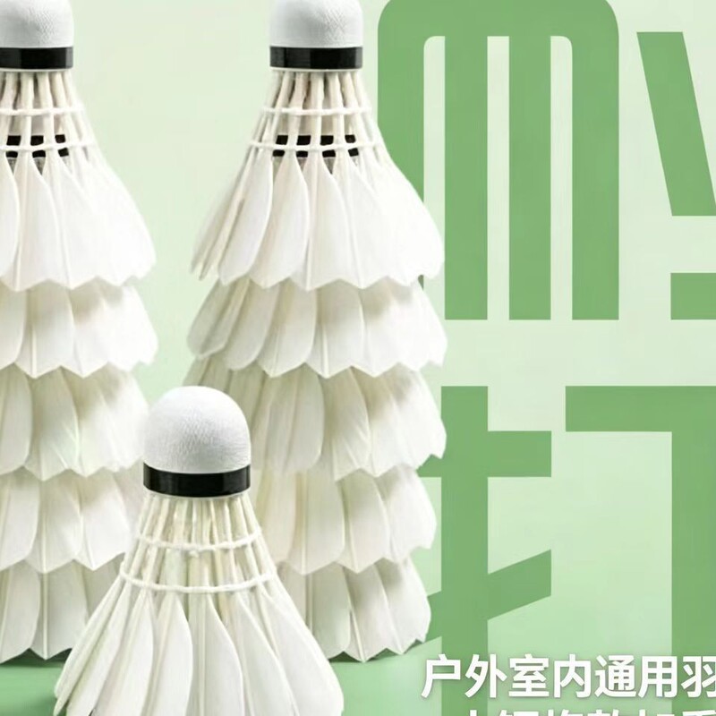 Badminton Goose Feather Shuttlecocks, Pack of 12, Durable and Wind-Resistant, Suitable for Competition and Training, Stable Outdoor Training Balls, Professional Nylon Badminton Goose Feather Shuttlecocks, Pack of 12, Durable and Wind-Resistant, Suitable for Competition and Training, Stable Outdoor Training Balls, Professional Nylon