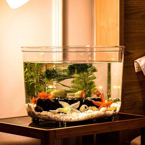 Fish tank aquarium lazy transparent hot-bent goldfish tank living room balcony household small and medium-sized ecological desktop tank plastic