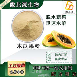 木瓜粉99%青木瓜粉 速溶木瓜粉优质木瓜提取物牛奶代餐粉木瓜果粉