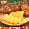 云南天山雪莲果新鲜红心现挖雪连水果当季整箱现货一件代发|ru