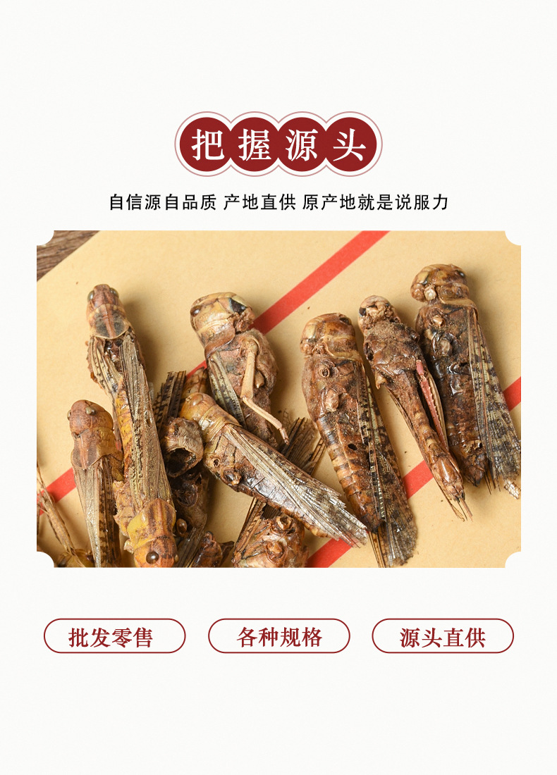 Dried Locust (Locusta migratoria) — Edible Farm-Raised Grasshopper, 500g Bulk Food Ingredient key features