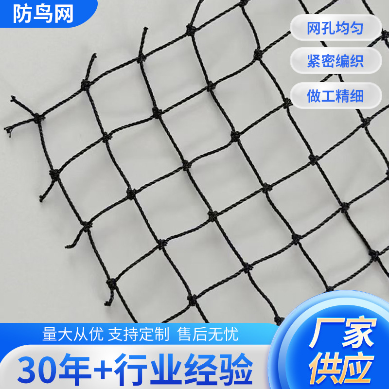 厂家批发生产聚乙烯有结鸟网现货谷地稻田鸟网稻谷果园用防鸟网