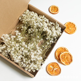 ɢ�b�S�U�םM���Ǹɻ�������diy�羳���u��ϏS��ֱ�l���R�d؛Դ