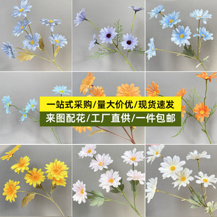 5�^С�r�շ�����m�ղ�˹�ղ����[�� �bٻ�Ұ�ͻ����Sɫ��ʾ�