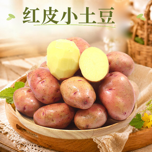 ��ϼtƤ��ŴС���� һ�����l3/5/8.5-9���S�ļtƤ�����R���r�߲�