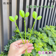 ���~���������~�Ә�֦�̶��Gֲ�@ˇֲ�ｉ��ˇ�g���;Gɫ����С