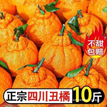 沃柑批发不知火四川粑粑桔子超甜丑橘新鲜水果耙耙柑柑非三级批发