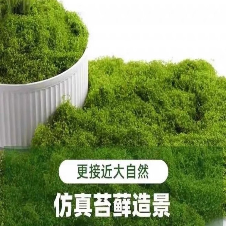 高級馬酔木天井造景ショーウインドー植物室内シミュレーション緑植装飾樹大型偽樹シンプル景観|undefined