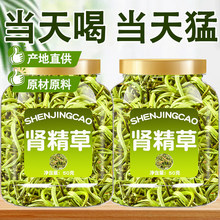 肾精茶长白山东北干石韦养生神经草黄金草茶伟肾正品野嗷嗷叫泡茶