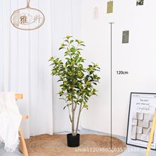 NGֲWtGֲԷ𻨘ؾGֲԼҾӾGֲ[