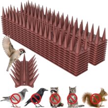 ���R�d�羳���z���B��3.5cm��̷��B�������B���ڷ�؈�̷��I��
