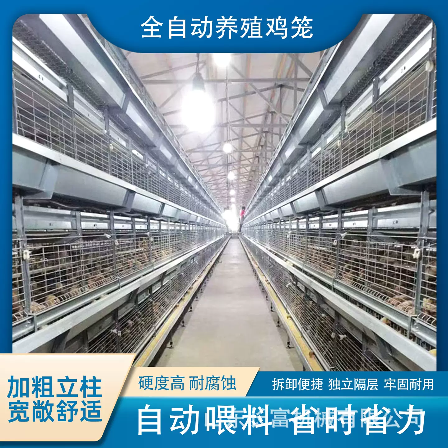 层叠式养殖鸡笼鹌鹑养殖笼具立式H型全自动蛋鸡笼四层清粪鸽子笼