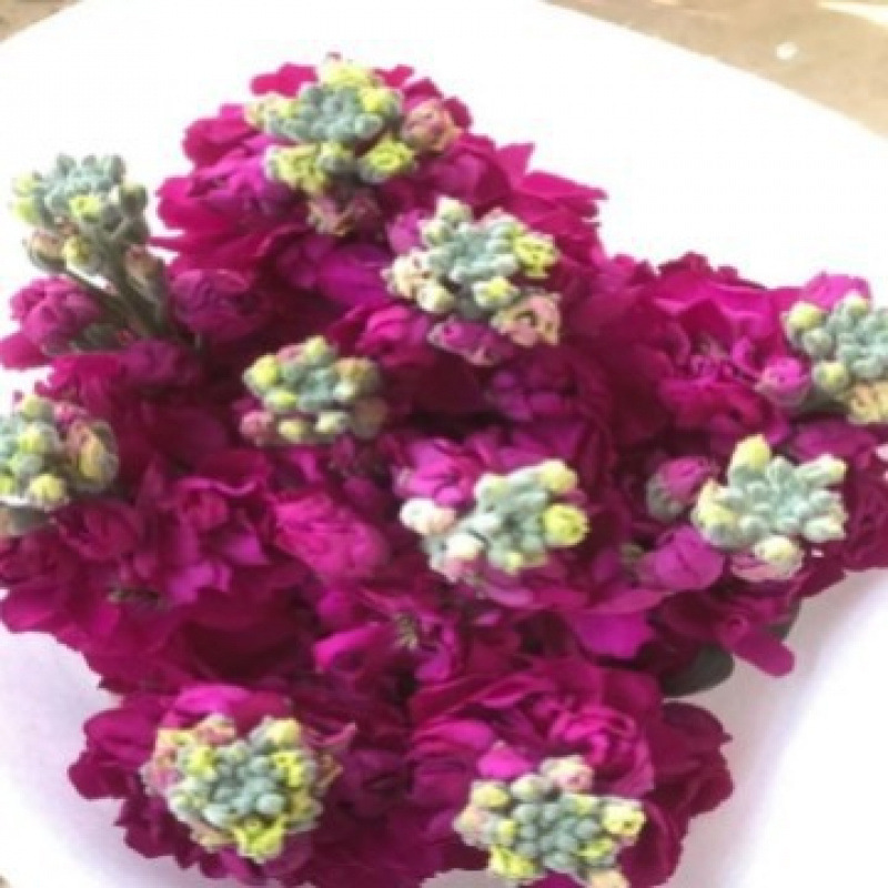 玫瑰花鲜花云南昆明基地批直发百合向日葵红豆家用鲜切水养插|undefined
