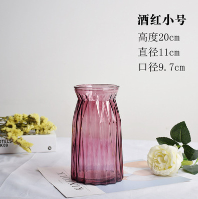 北欧创意透明玻璃花瓶水培绿萝植物干花鲜花插花瓶客厅装饰摆件|undefined