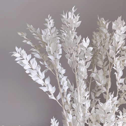 Everlasting flowers, rich leaves, dried flowers, bouquets, high-end diy materials, decorative ornaments, Mother's Day gifts, wedding supplies